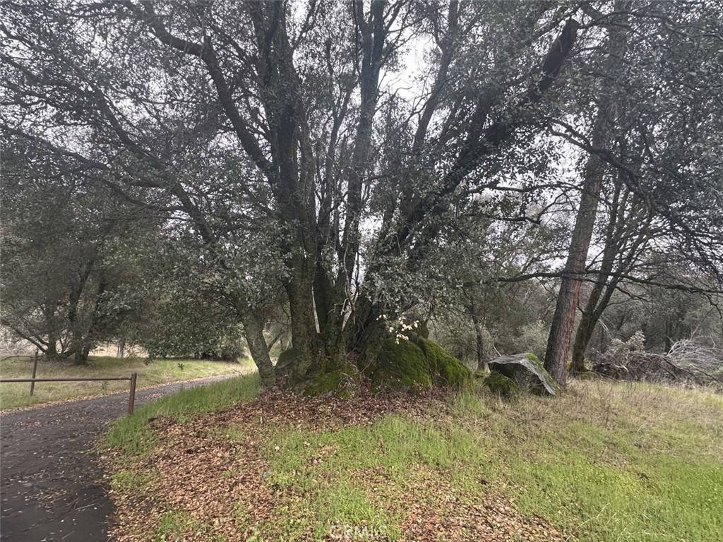 Oakhurst, CA 93644,50330 Road 426