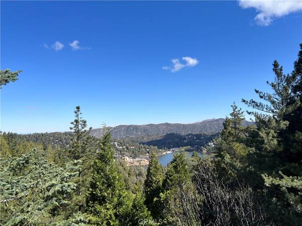 Crestline, CA 92325,24356 Altdorf DR
