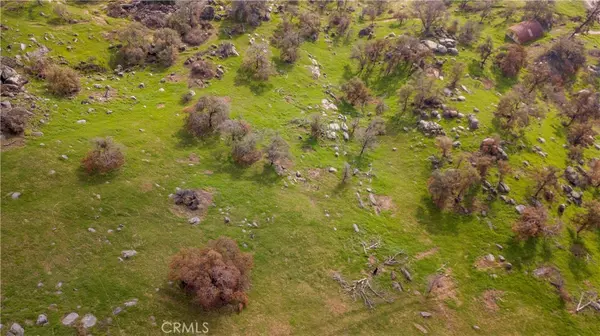 Squaw Valley, CA 93675,0 Pepperweed