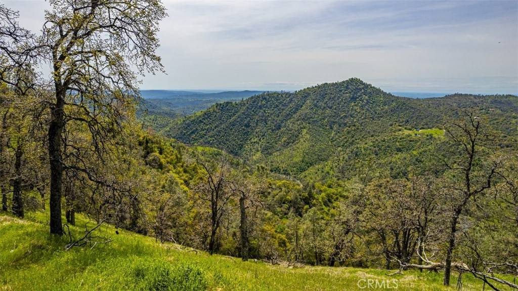 Ahwahnee, CA 93601,0 40 AC Potter Ridge Fire RD