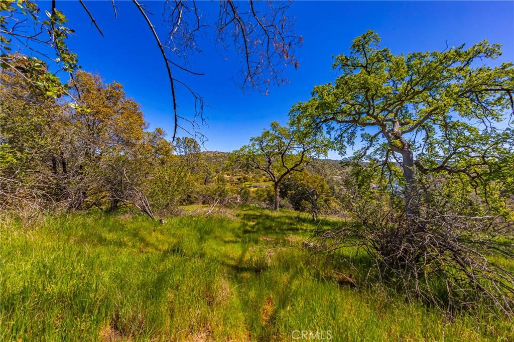 Coarsegold, CA 93614,1 Jim Bowie CT