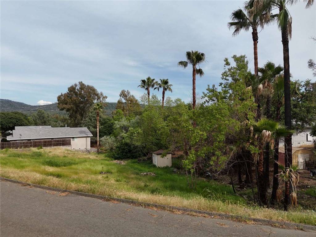 Oroville, CA 95966,170 Kokanee DR