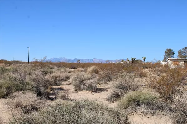 Joshua Tree, CA 92252,3465 Porter BLVD