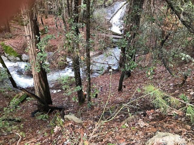 29 Road 274, Bass Lake, CA 93604