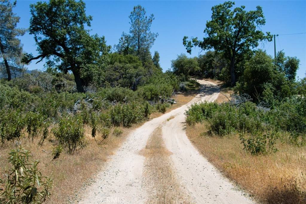 Mariposa, CA 95338,0 44.51 AC Leaning Pine WAY