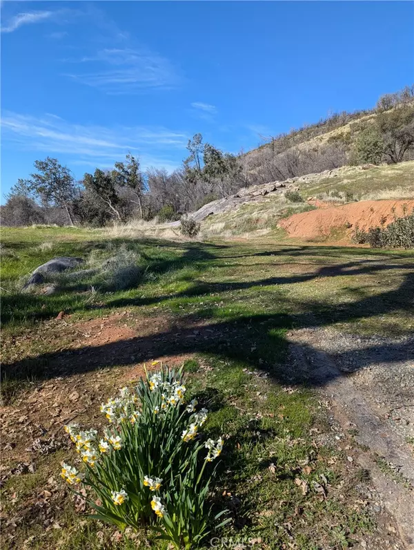 Mariposa, CA 95338,4548 Triangle RD
