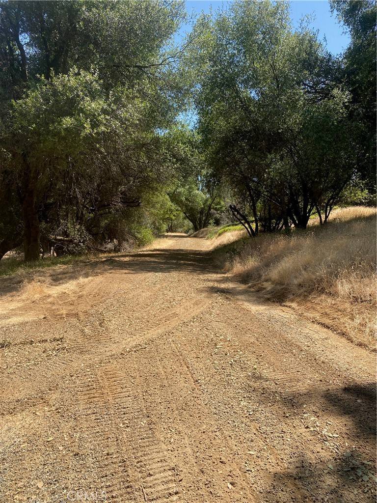Oakhurst, CA 93644,51668 Courtney LN