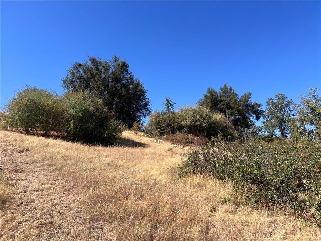 Ahwahnee, CA 93601,16 Lulniu