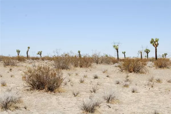 Phelan, CA 92371,0 Holly RD