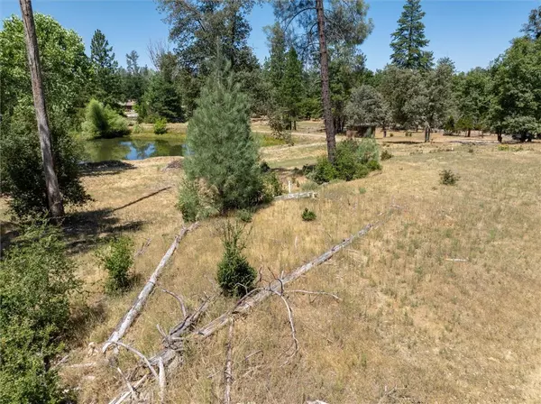 Oakhurst, CA 93644,3 Road 423