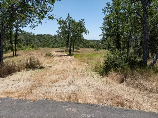 Coarsegold, CA 93614,3 Acres Serendipity LN
