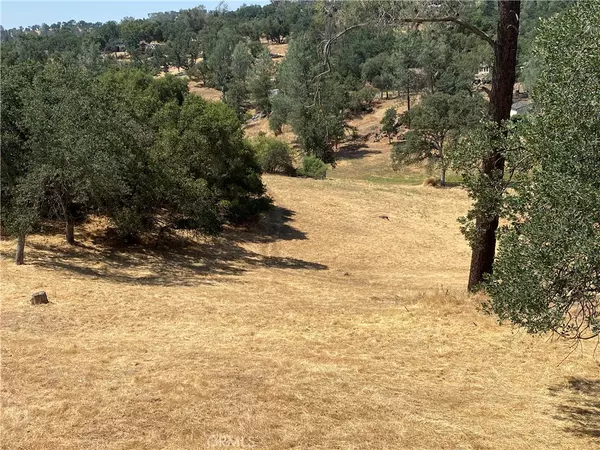 Coarsegold, CA 93614,17 Titan Way WAY