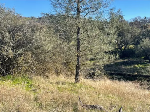 741 lot Long Hollow DR, Coarsegold, CA 93614