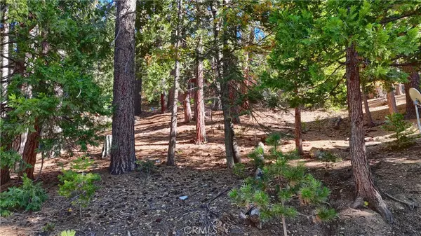 7232 Yosemite Park, Yosemite, CA 95389