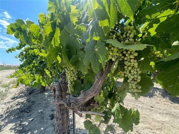 Kerman, CA 93630,1 S Plumas AVE