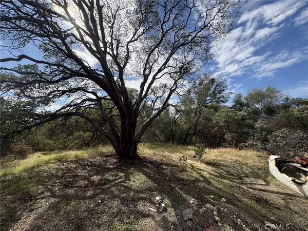 Raymond, CA 93653,38699 Road 600