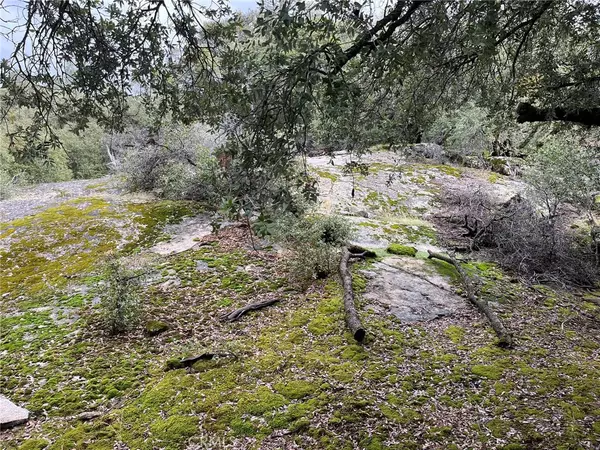 Oakhurst, CA 93644,0 Jean RD E