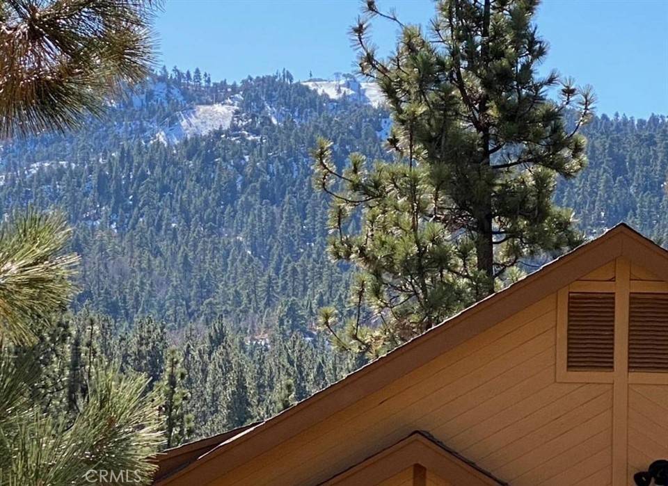 Big Bear, CA 92315,42659 Alta Vista AVE