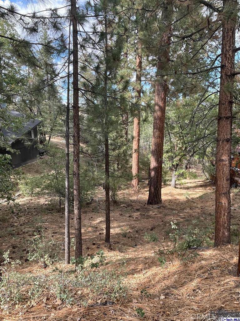600 Travertine RD, Big Bear, CA 92314