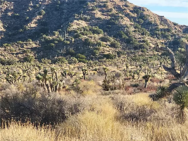 Llano, CA 93544,300 E Z12 ST