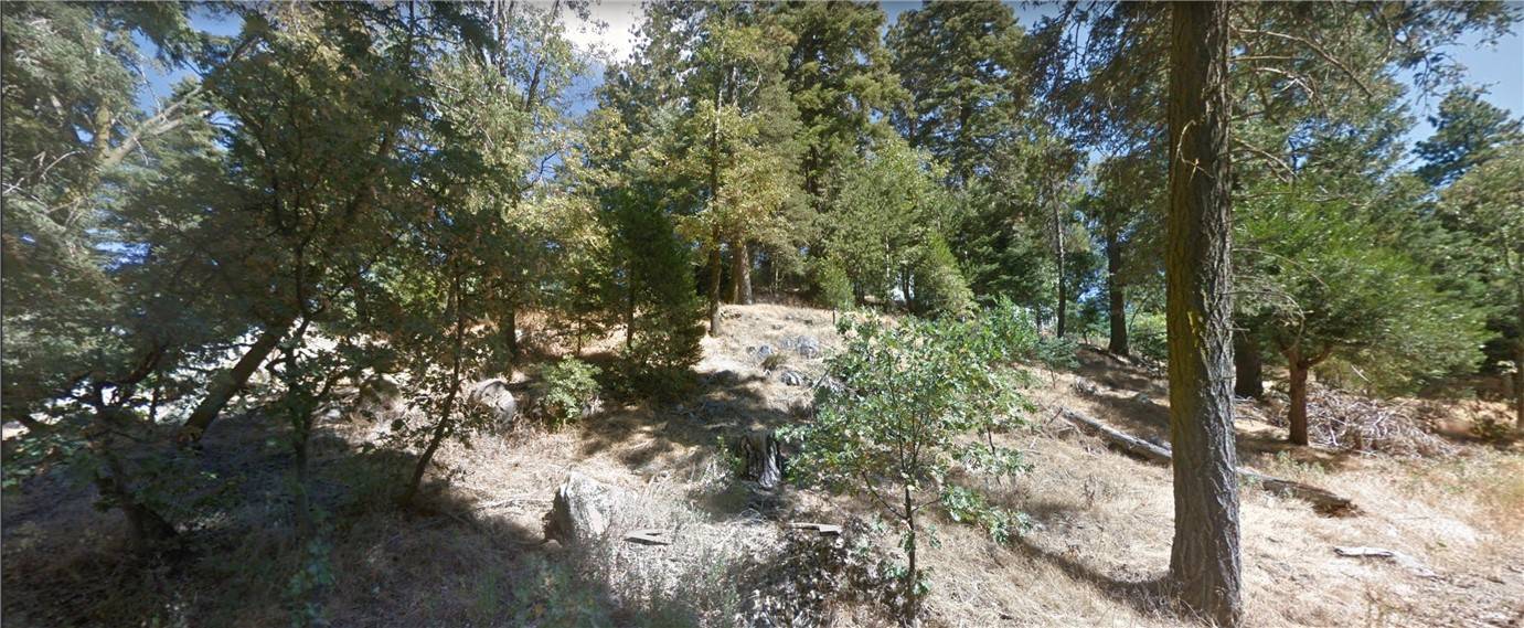 0 Fir DR, Cedarpines Park, CA 92322