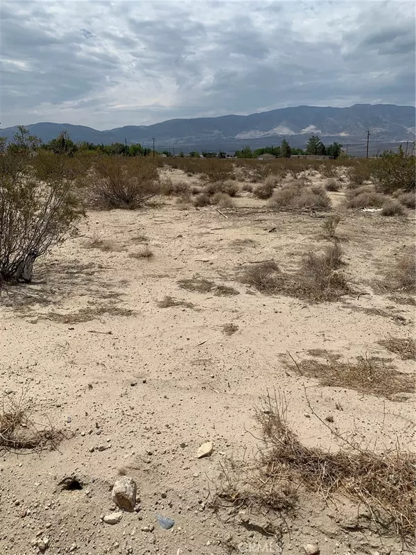 Lucerne Valley, CA 92356,0 Old Woman Springs RD