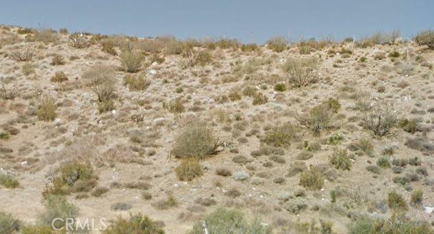 Pinon Hills, CA 92371,Address not disclosed