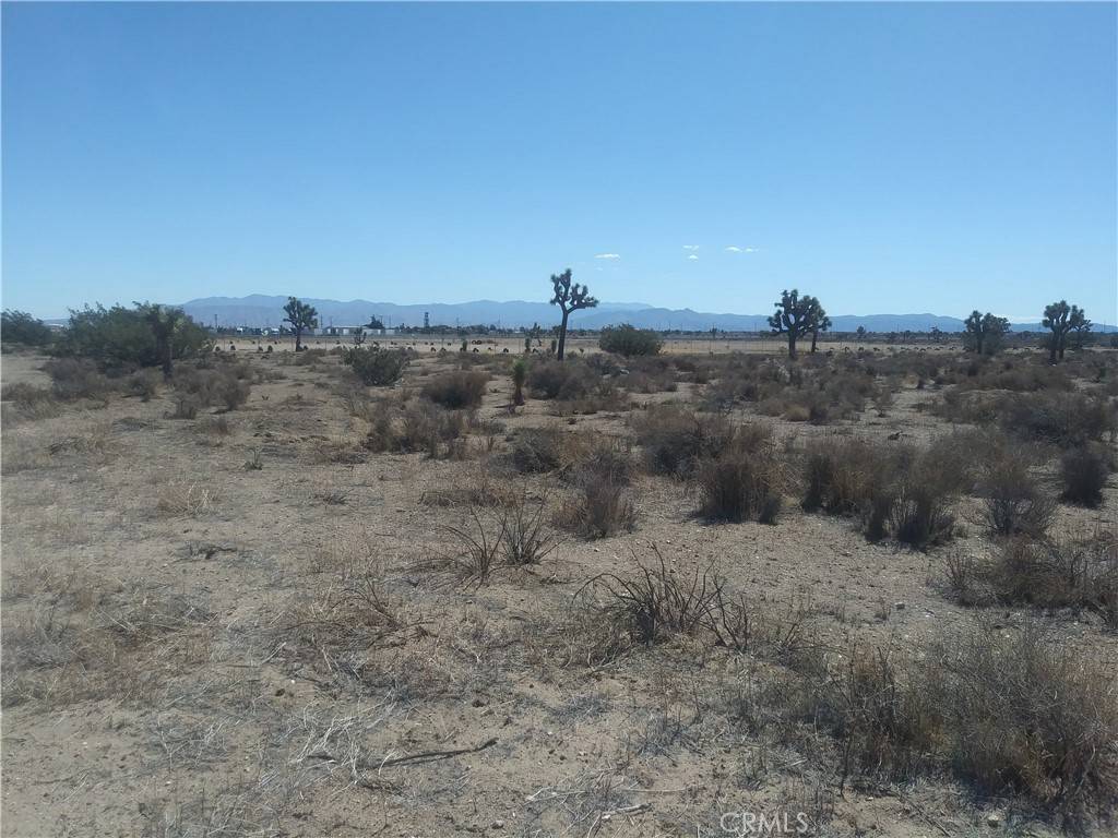 Hesperia, CA 92344,0 Bolinas ST