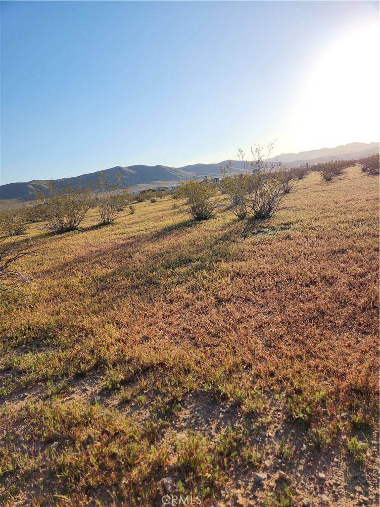 Barstow, CA 92311,0 Caspar RD