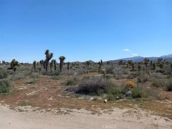 Phelan, CA 92371,0 Yucca Terrace DR