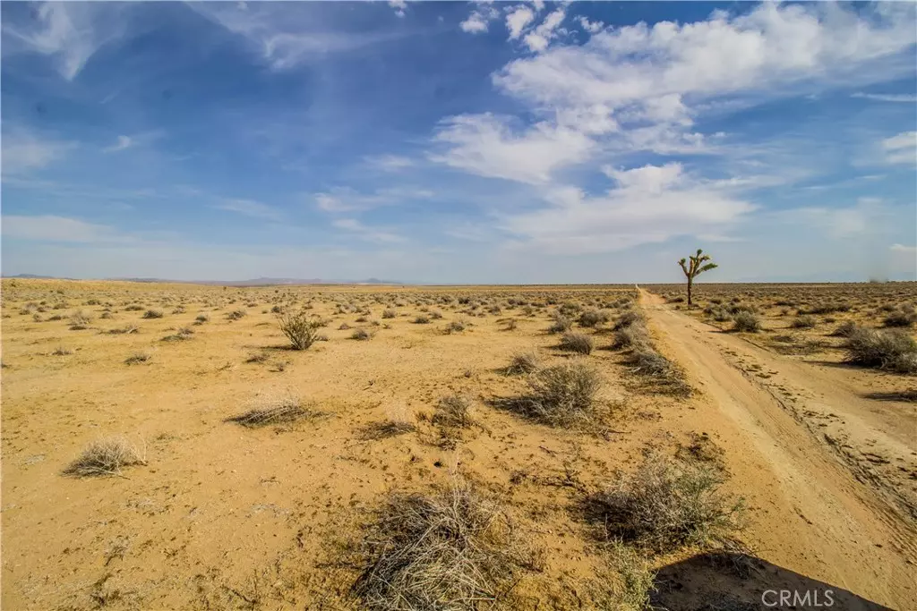 Helendale, CA 92342,0 Buckthorne Canyon RD