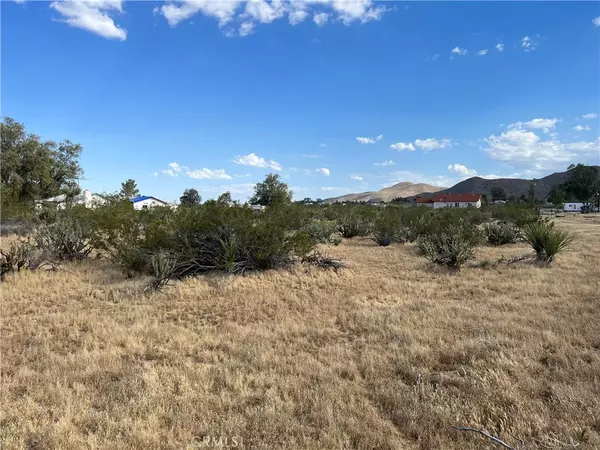 Julian, CA 92036,0 Shooting Iron TRL