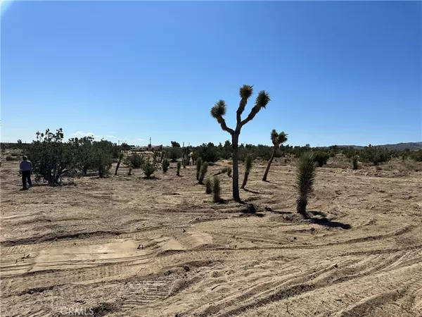 Pinon Hills, CA 92372,10232 EVERGREEN Ct