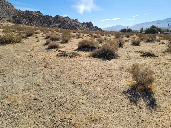 Lucerne Valley, CA 92356,500 Hwy 18 HWY