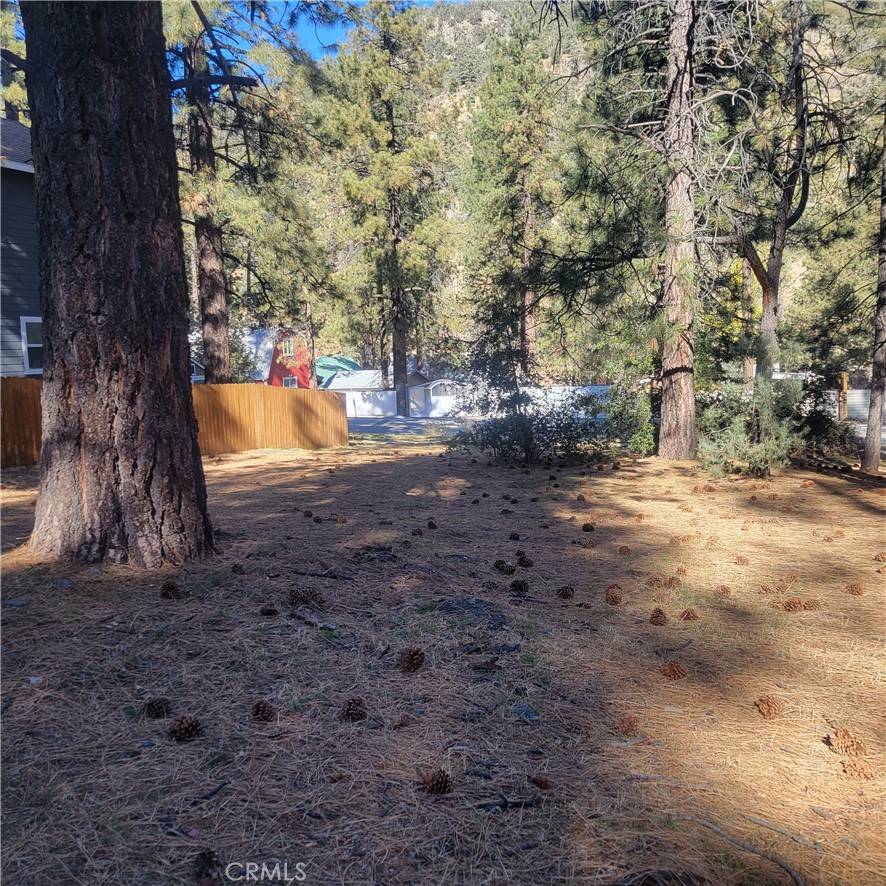 Wrightwood, CA 92397,0 Ross