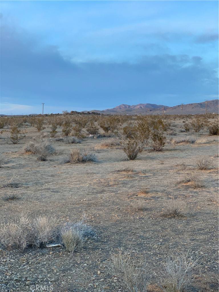 Apple Valley, CA 92307,0 Dale Evans Pkwy