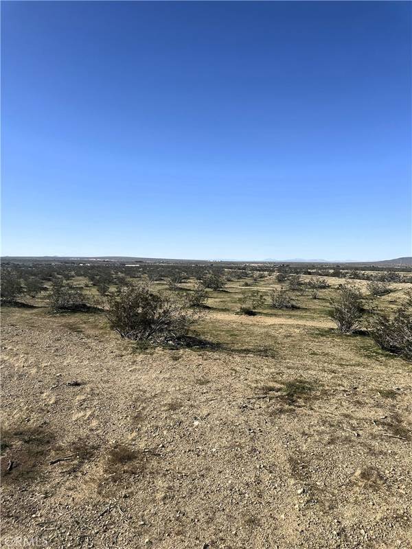 Helendale, CA 92342,0 S Panamint TRL