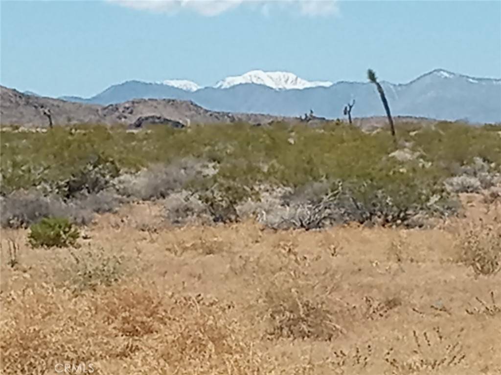 Landers, CA 92285,408 Stable RD