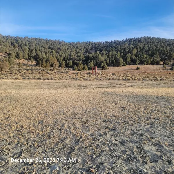 Big Bear City, CA 92314,2750 Erwin Ranch RD