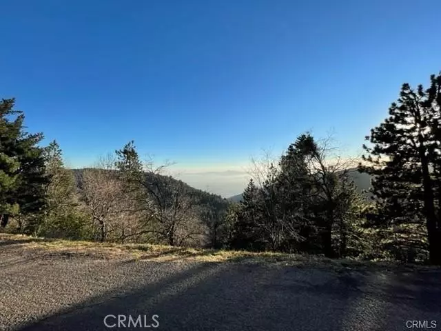 0 Peak CIR, Cedarpines Park, CA 92322