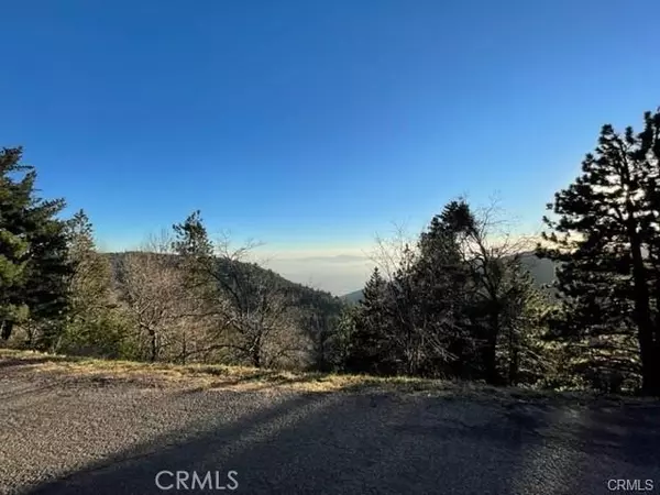 0 Peak CIR, Cedarpines Park, CA 92322