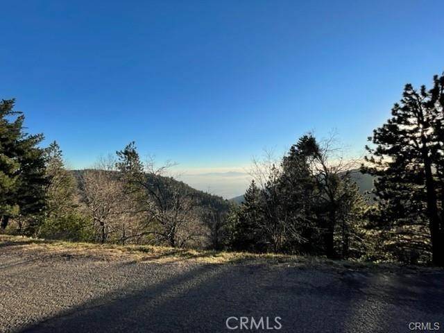 0 Peak CIR, Cedarpines Park, CA 92322