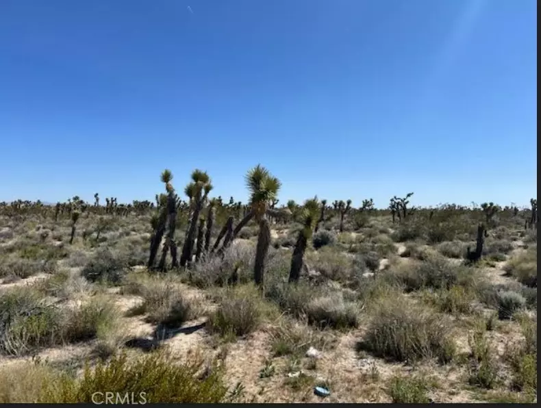 0 Vac/Vic AVE, Llano, CA 93544
