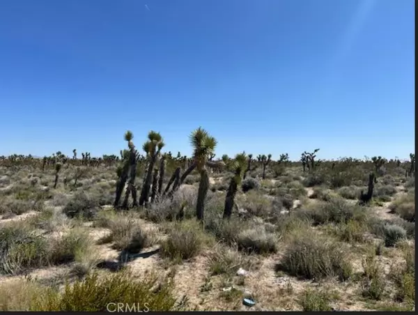 Llano, CA 93544,0 Vac/Vic AVE