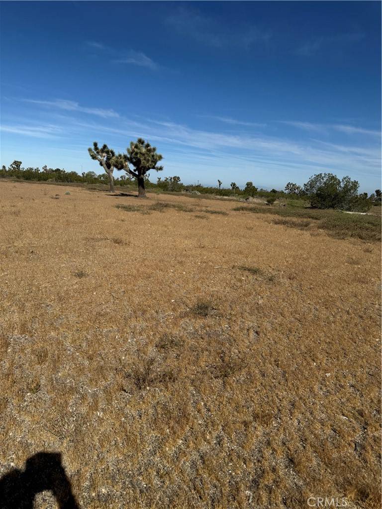 Pinon Hills, CA 92372,0 TOKAY