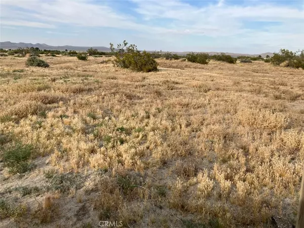 El Mirage, CA 92301,0 Pico Rd