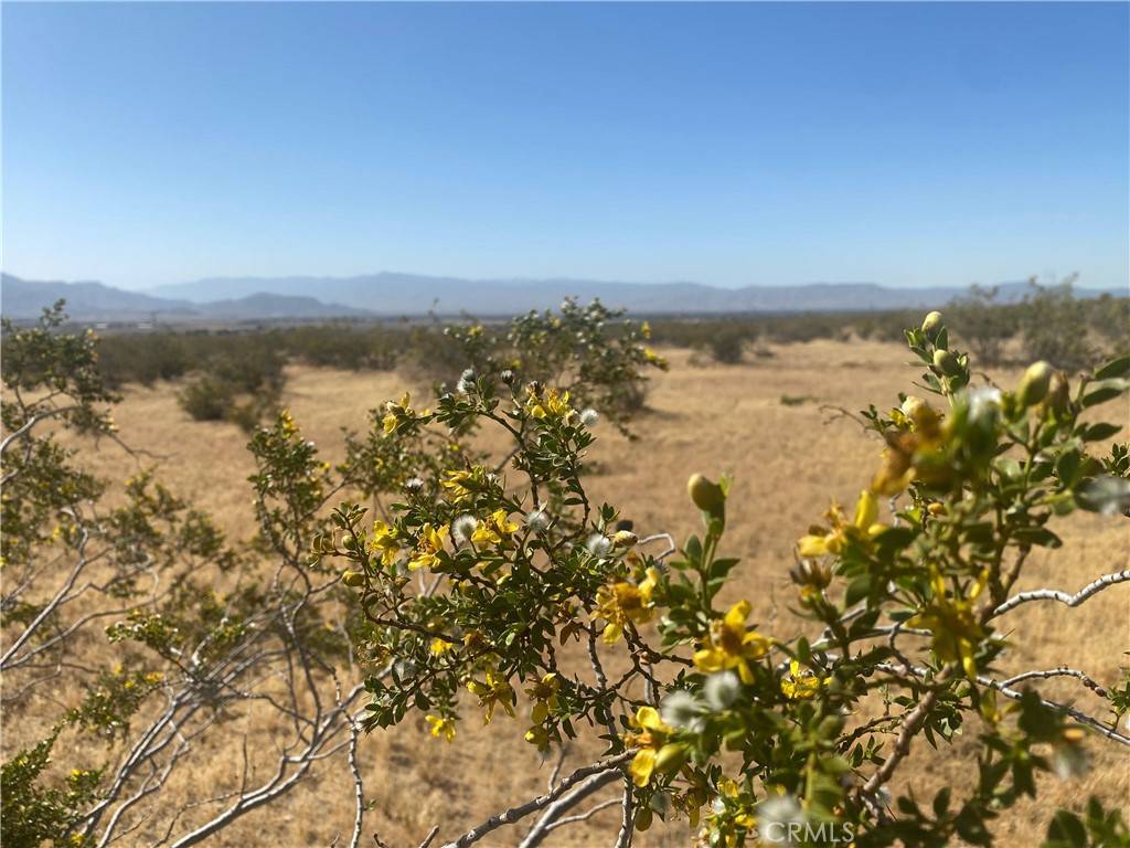 Apple Valley, CA 92307,1 Falchion RD