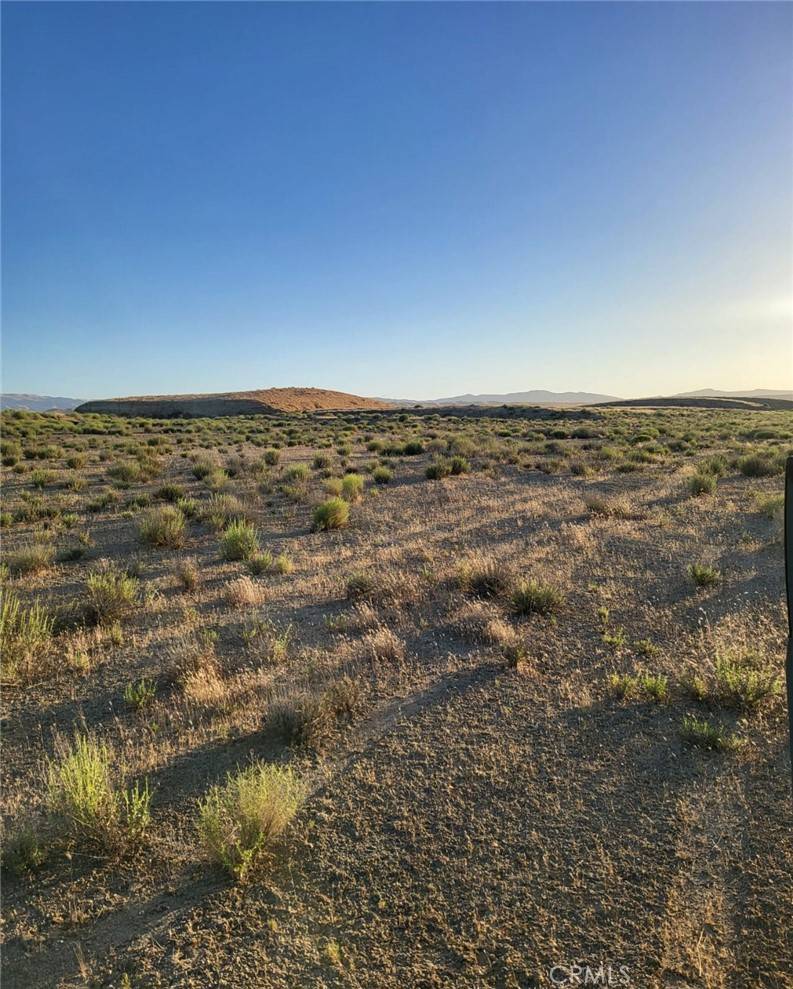 Avenal, CA 93204,0 Avenal