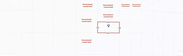 Johnson Valley, CA 92356,703 Quail Bush (NEAR) RD