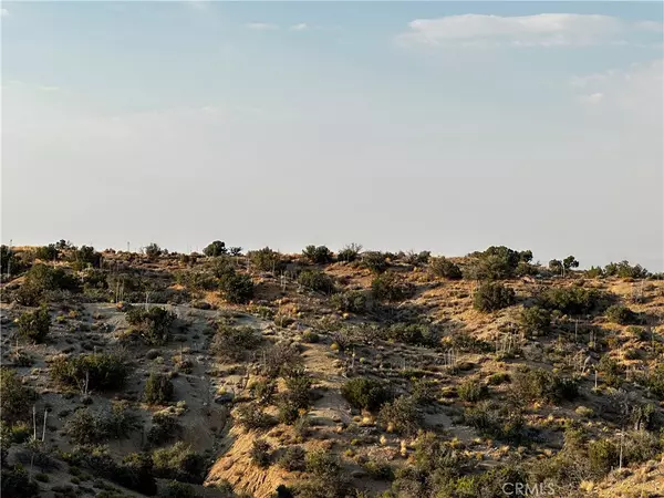 Juniper Hills, CA 93543,2 Ross Rd
